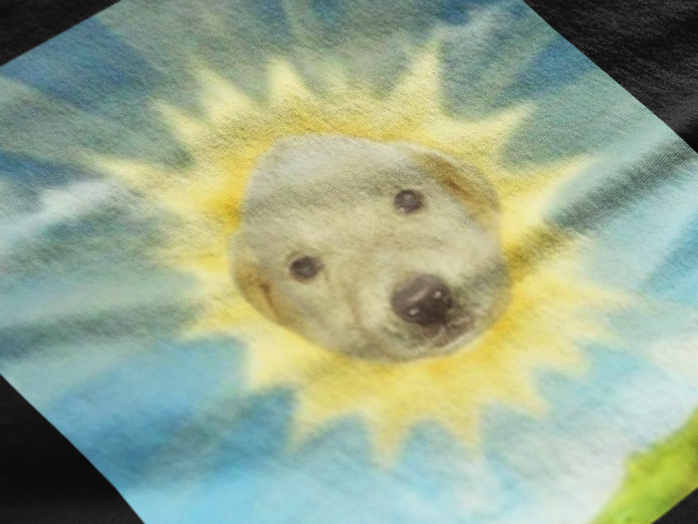 Perro sol