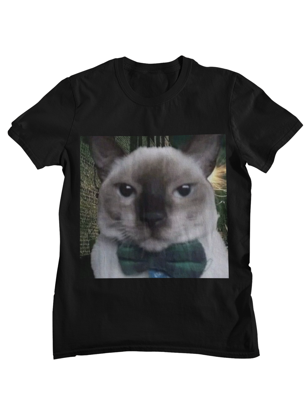 Gato elegante