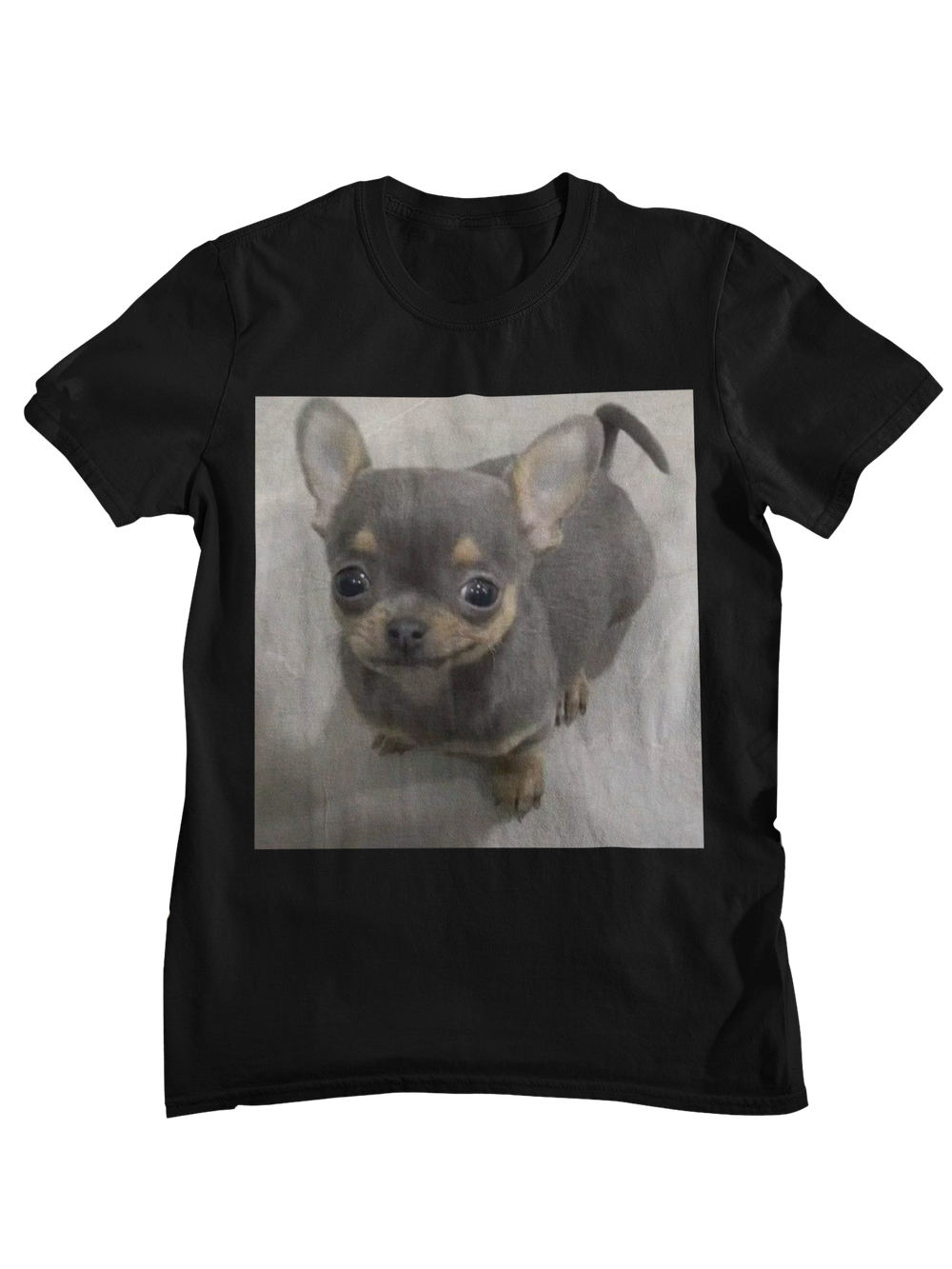 Chihuaha Fuerza Bro