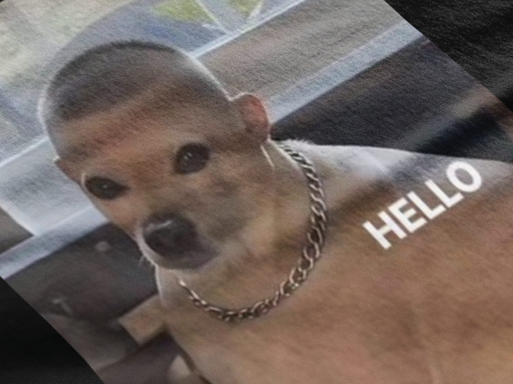 Perro con Flow