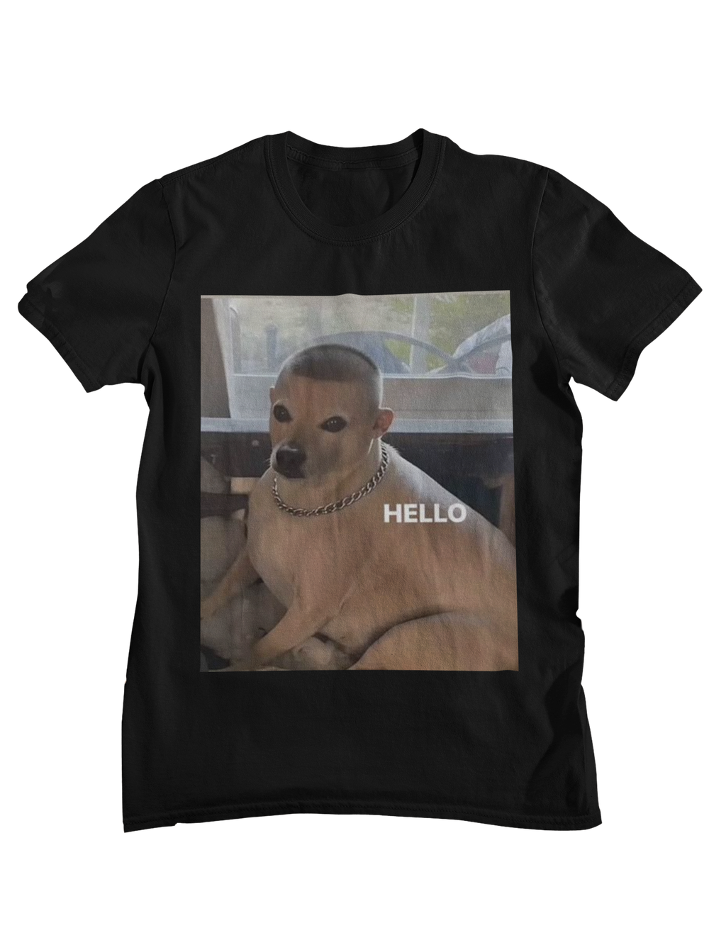 Perro con Flow