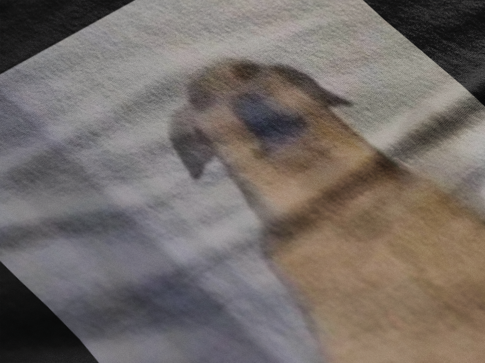 Perro Gustavo