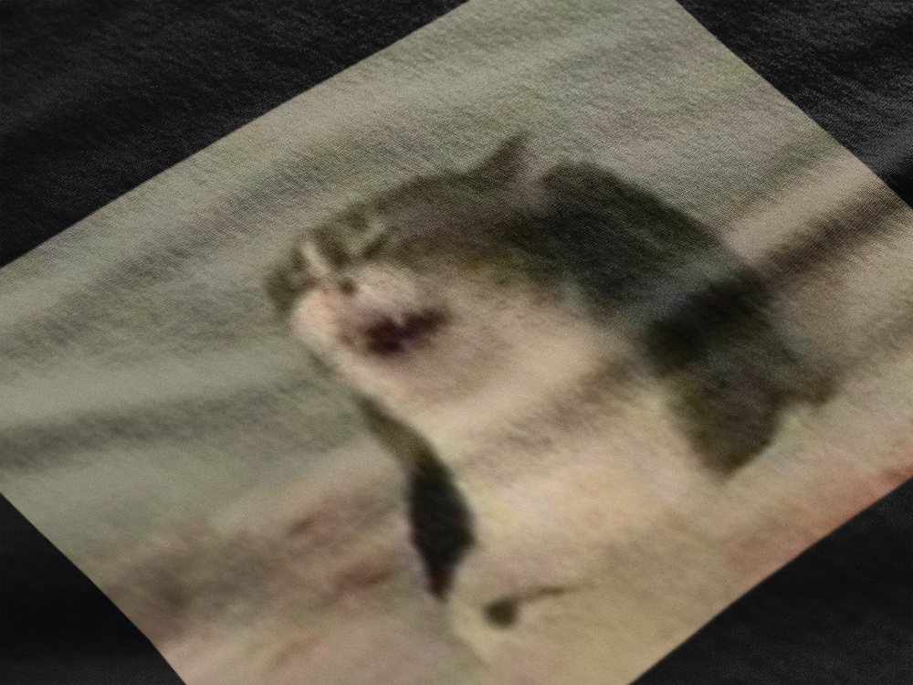 Gato Risa Malevola