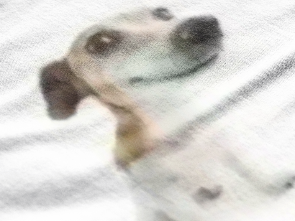 Perro wenomechainsama