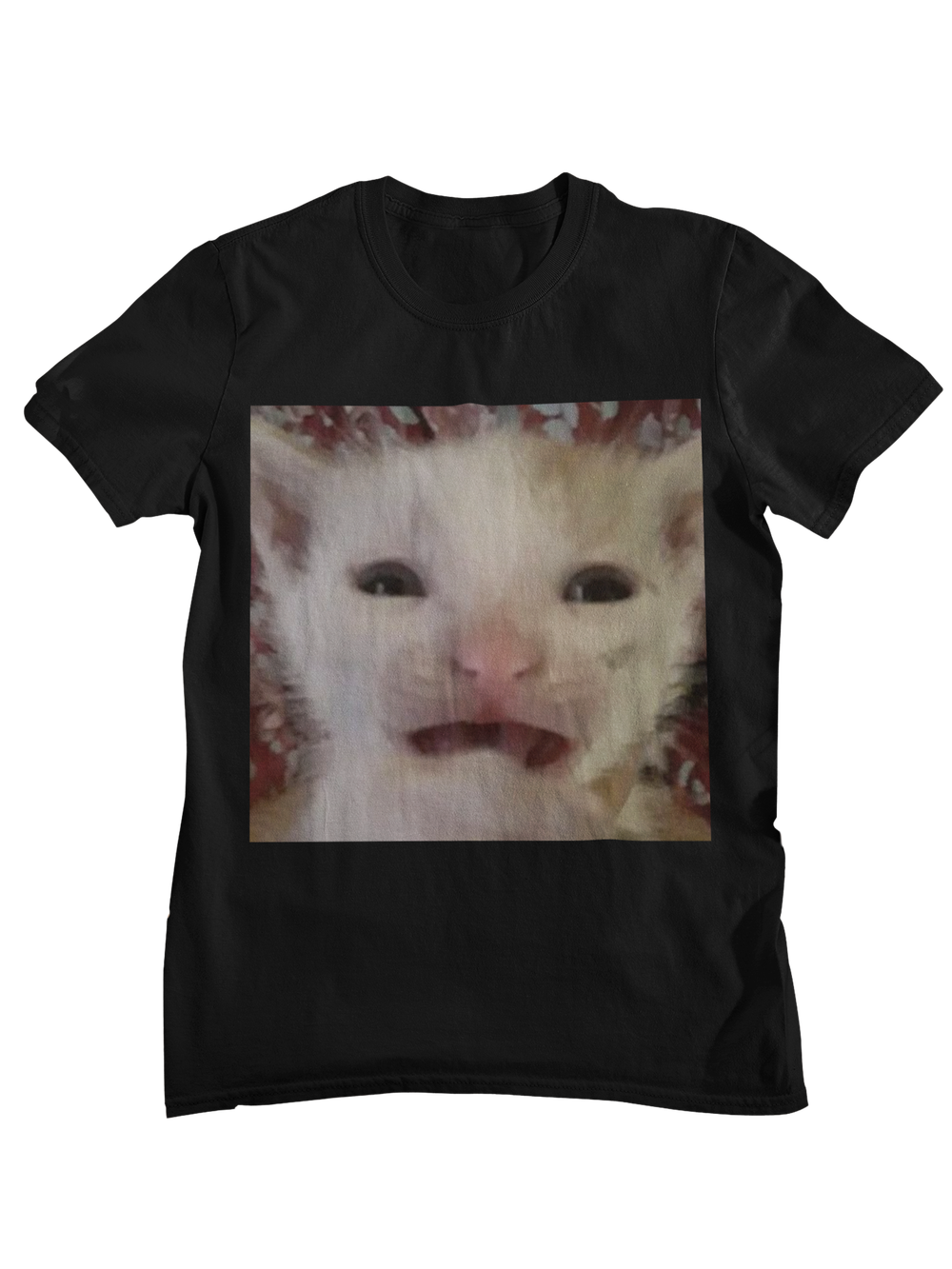 Gato espantado