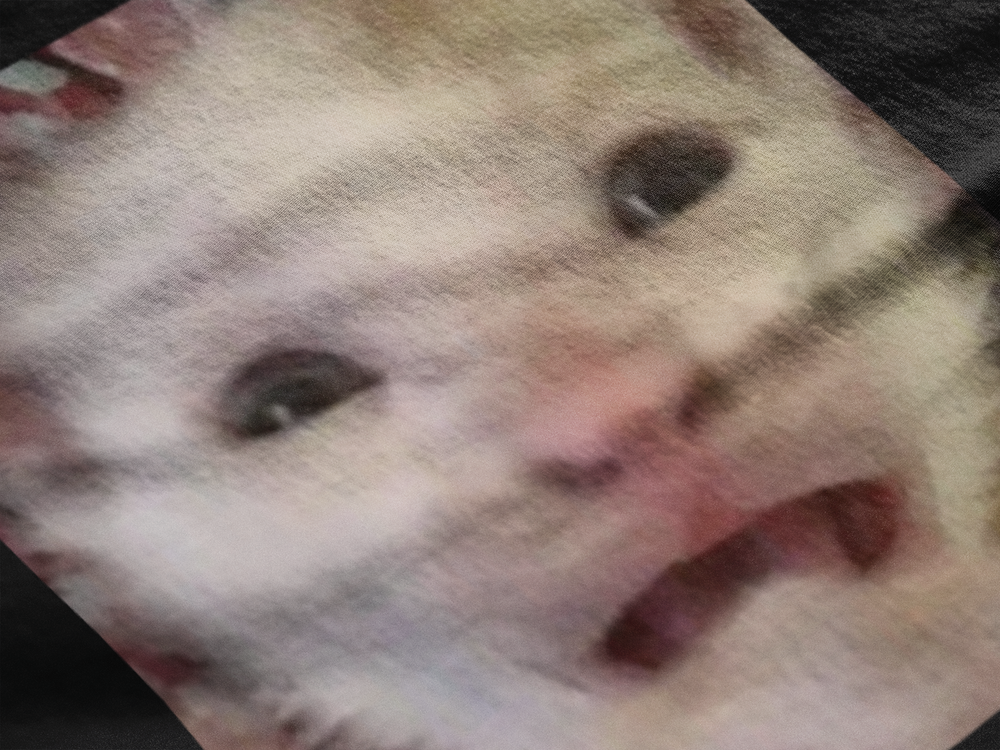 Gato espantado