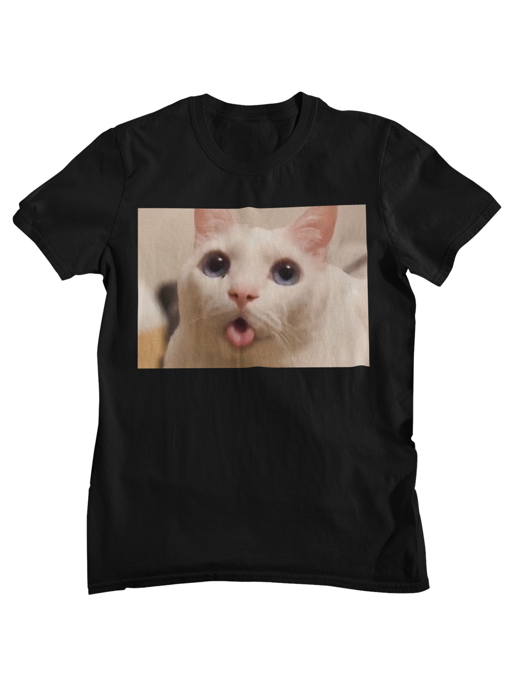 Gato Confundido