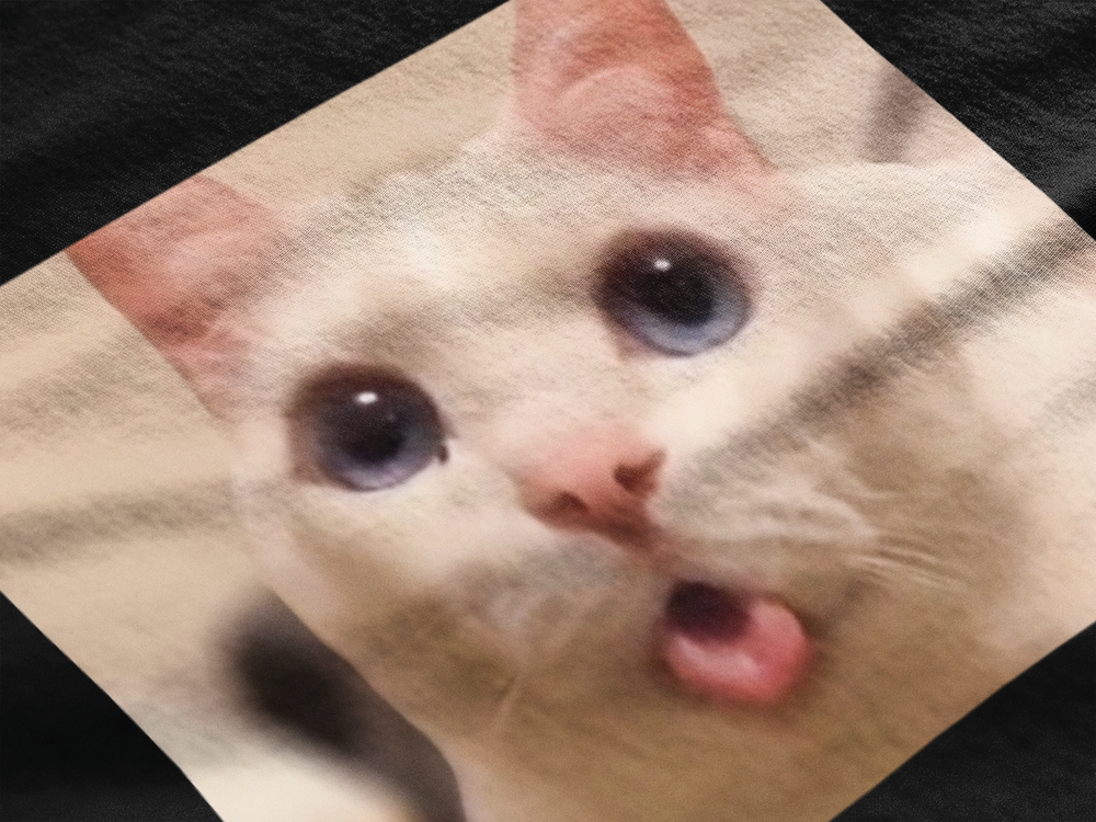 Gato Confundido