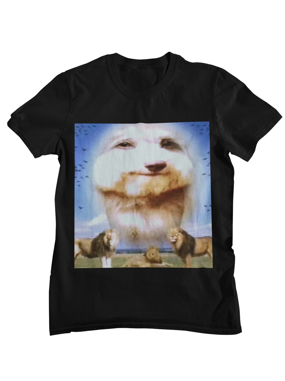 Perro paz