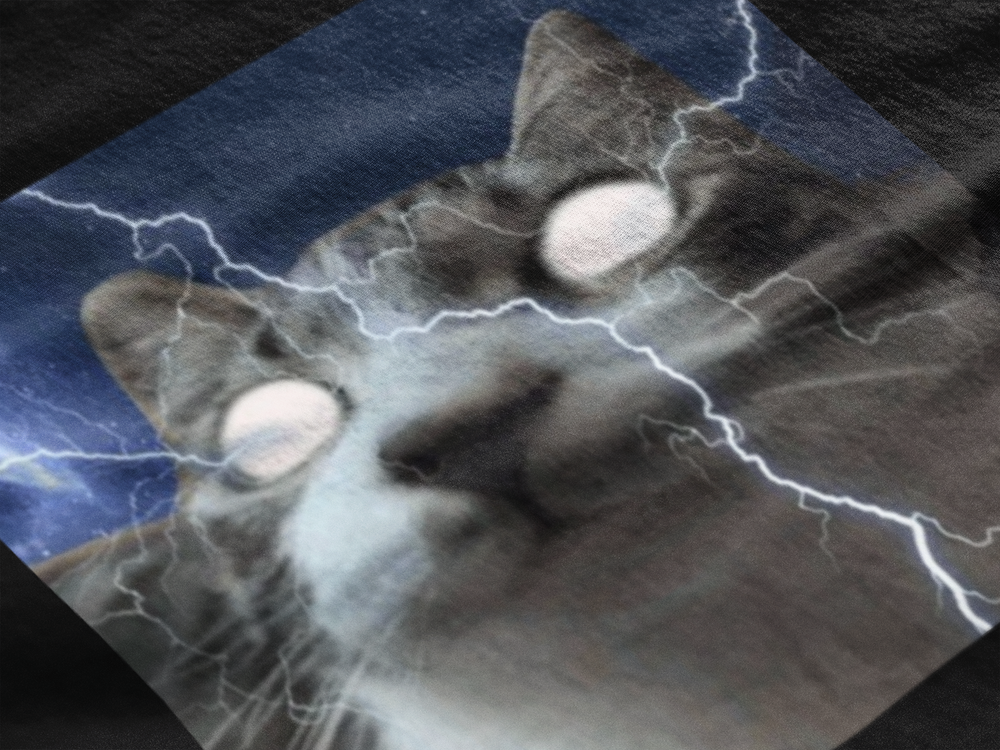 Gato rayos