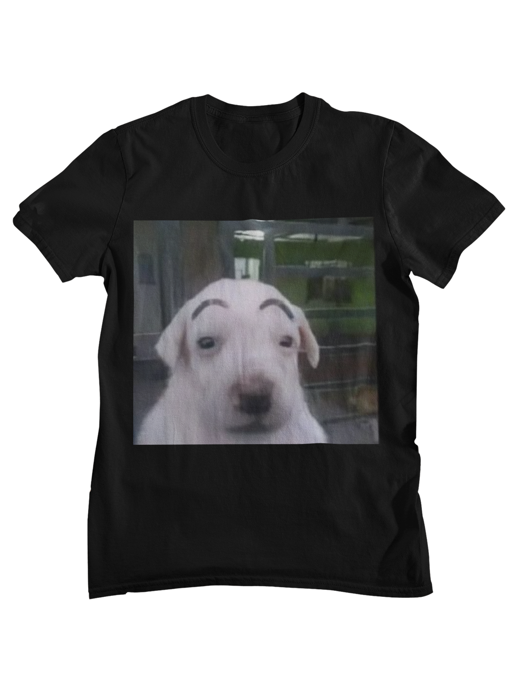 Perro cejon