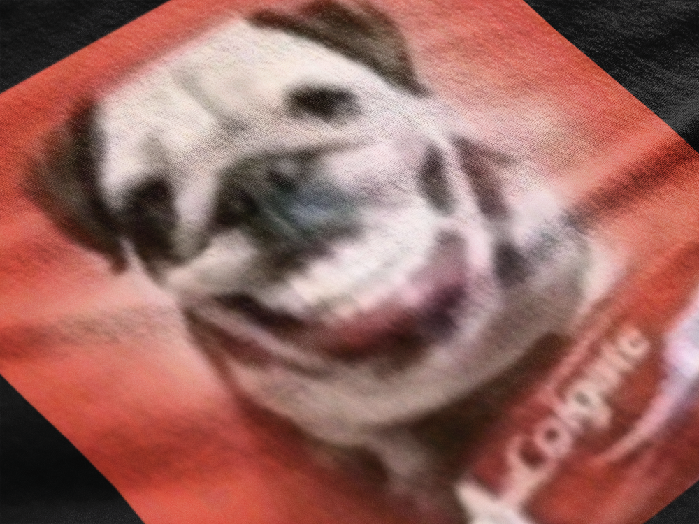 Perro dientes