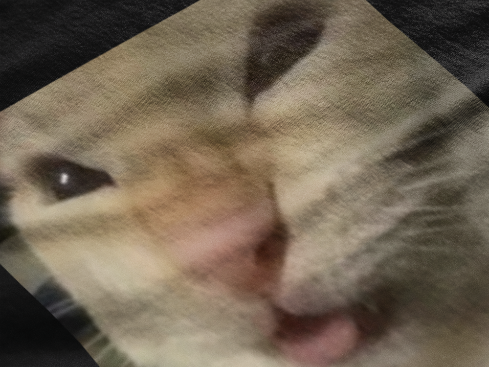 Gato Malvado